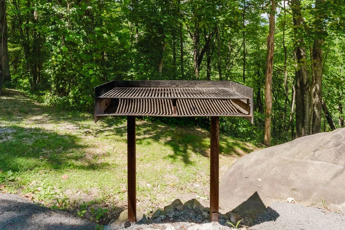 A classic charcoal grill sits on a stone patio area surrounded by natural rock formations and greenery, hinting at family barbecues and shared outdoor meals. The scene evokes camaraderie and the joy of dining al fresco in a woodland setting.